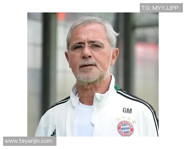 功夫足球三大球星人物解析：球场传奇与风格特点深度剖析